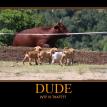 DUDE! WTF is THAT?!?